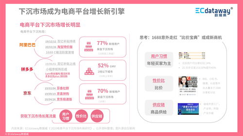 数据威2021 互联网趋势洞察与数据服务新展望